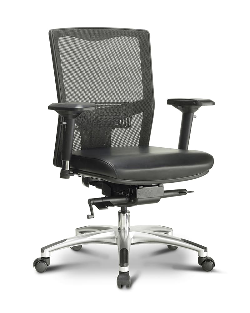 Argento ergonomic task chair
